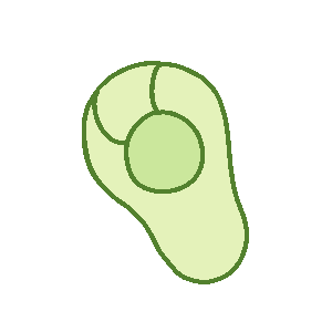 Paws (C)